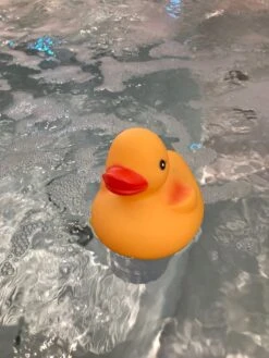 Happy Hot Tubs Large 200g Floating Duck Dispenser 9 Happy Hot Tubs Large 200g Floating Duck Dispenser -Pooly Shop large duck dispenser 4